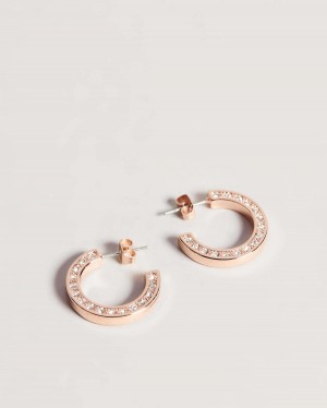 Ted Baker Senatta Crystal Hoop Earring Rosegold | 35BXTPFQK