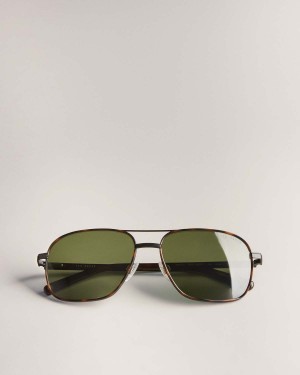 Ted Baker Sunrect Metal Square Aviator Sunglasses Brązowe | 51EHVTNGI